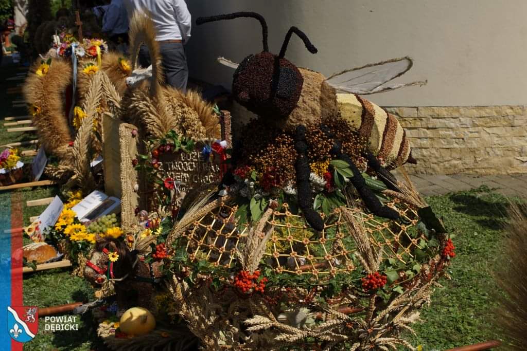 Dożynki Powiatu Dębickiego, 24.08.2024