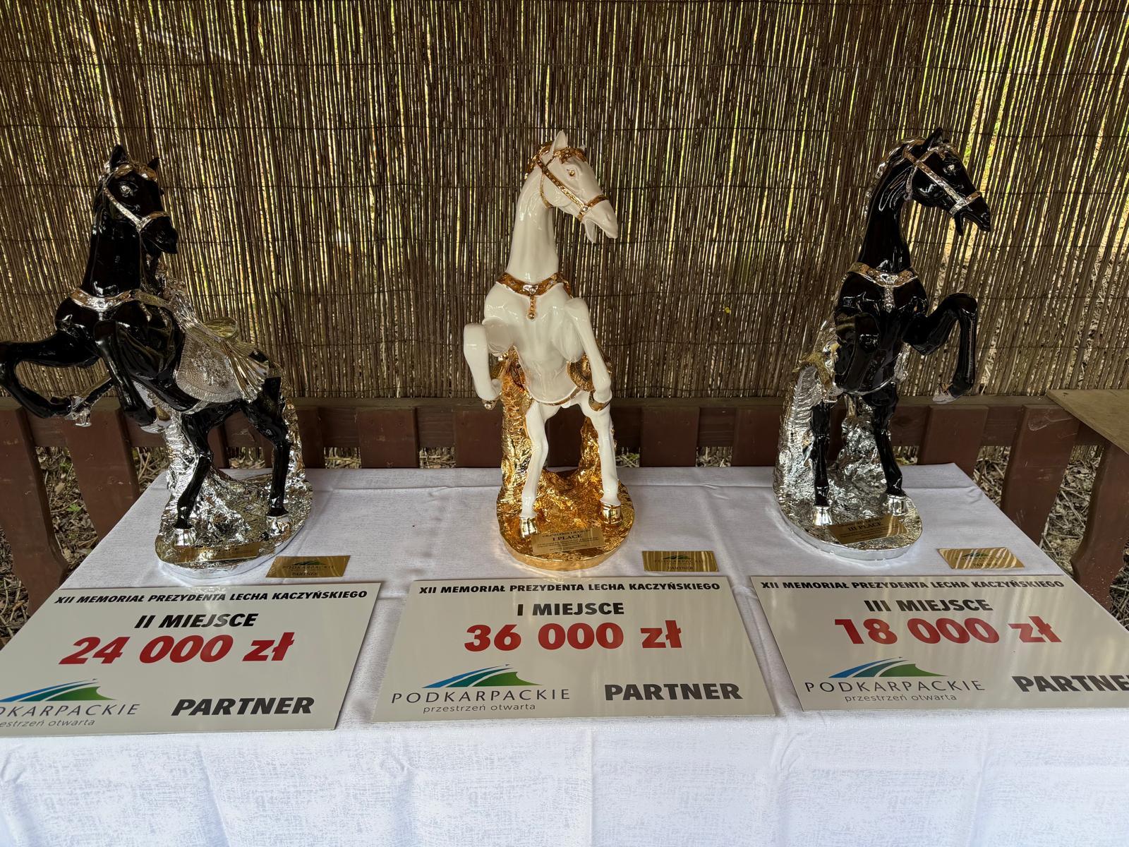 Memoriał Prezydenta Lecha Kaczyńskiego, Glinik Zaborowski 19.04.2026